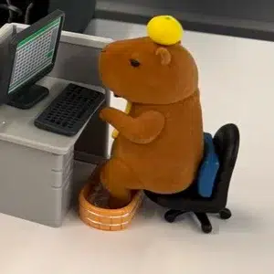 CAPY