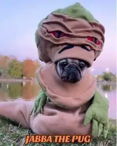 Doug token