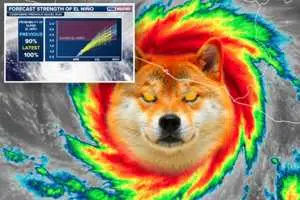 Inu